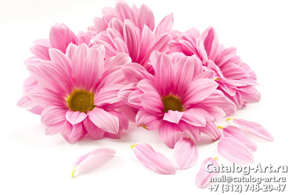 Pink flowers 53